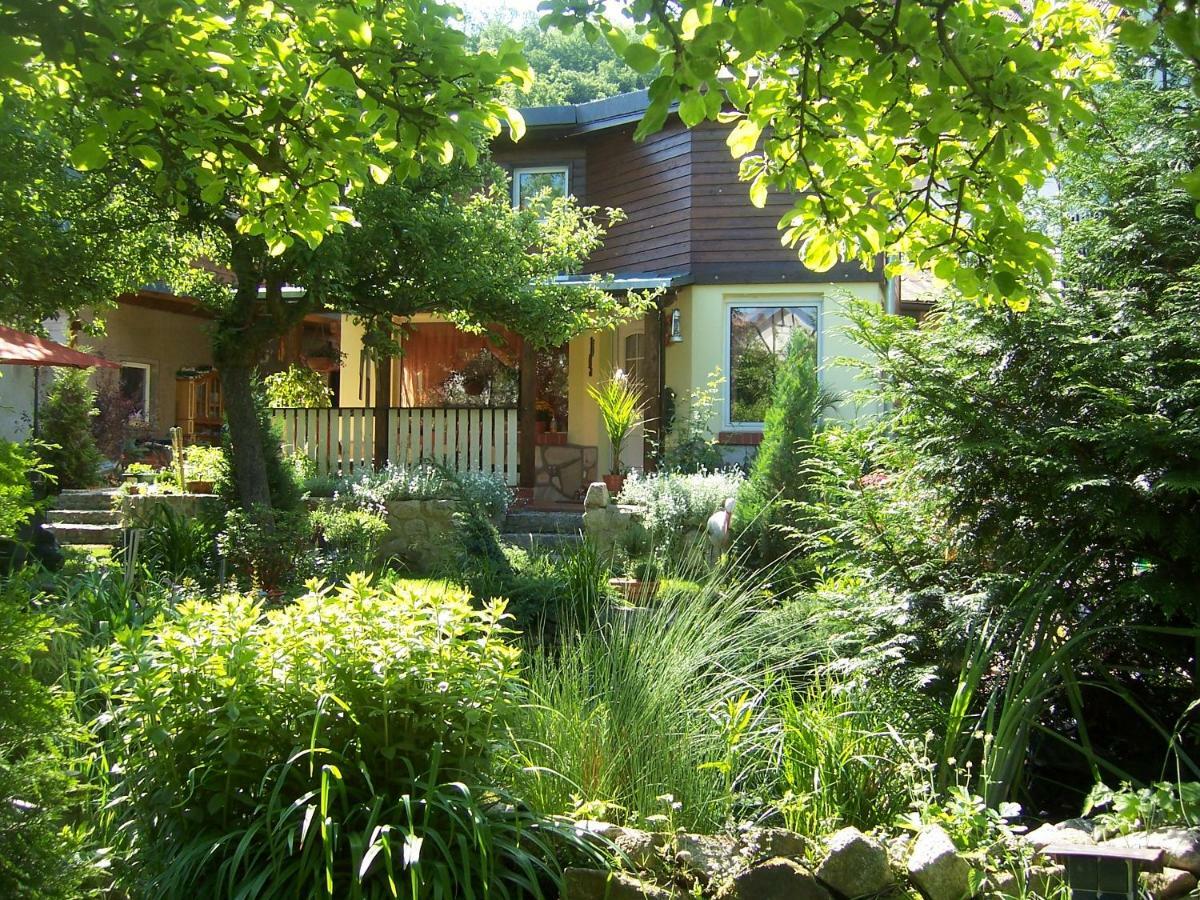 Ferienhaus Hagenwinkel Gernrode  Ngoại thất bức ảnh